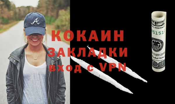 стафф Дмитриев