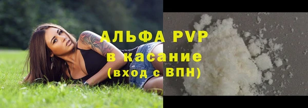 стафф Дмитриев