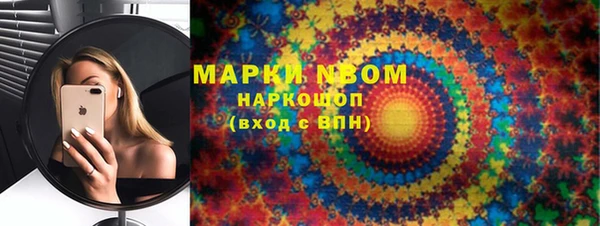 стафф Дмитриев